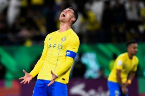 今年会网页版入口-汉堡狙击手犀利，积极备战争取主场胜利的简单介绍