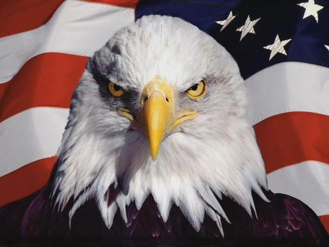 岿然不动！柏林赫塔危机解除，夺得宝贵胜利