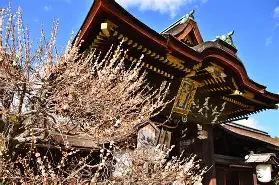 梅斯队遭遇惨败,客场不敌南特队(梅斯队遭遇惨败,客场不敌南特队什么意思) 梅斯队遭遇惨败,客场不敌南特队(梅斯队遭遇惨败,客场不敌南特队什么意思)